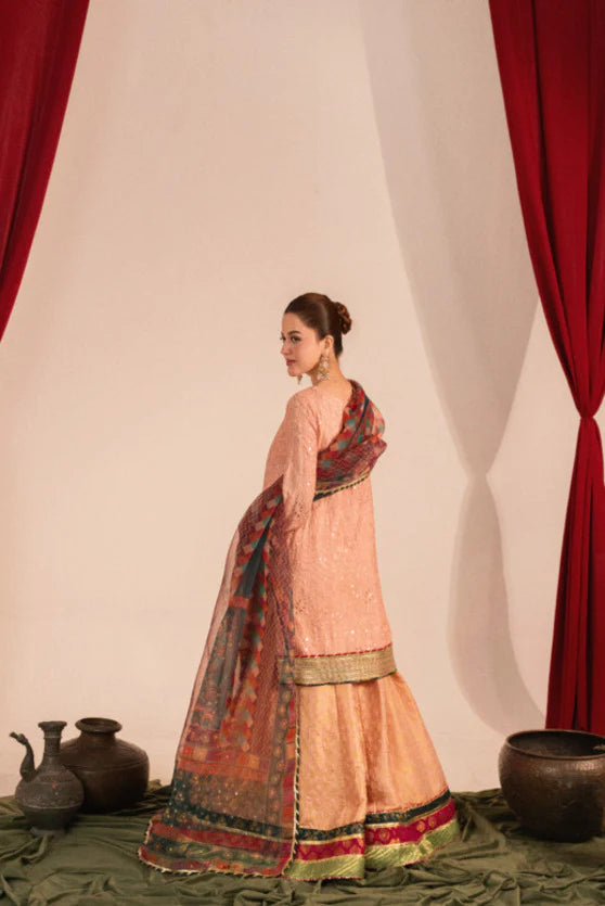 Zaaviay Blush Glow Embroidered Suits 3 Piece