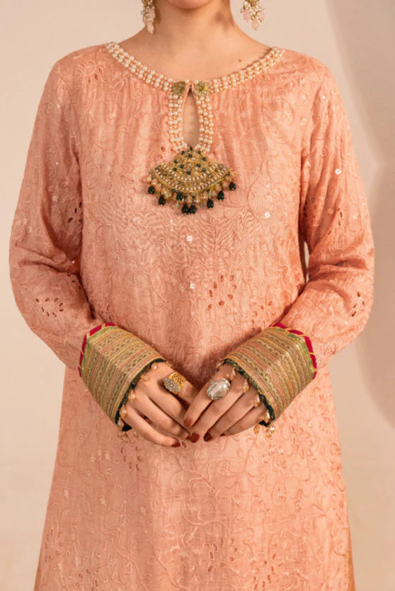 Zaaviay Blush Glow Embroidered Suits 3 Piece