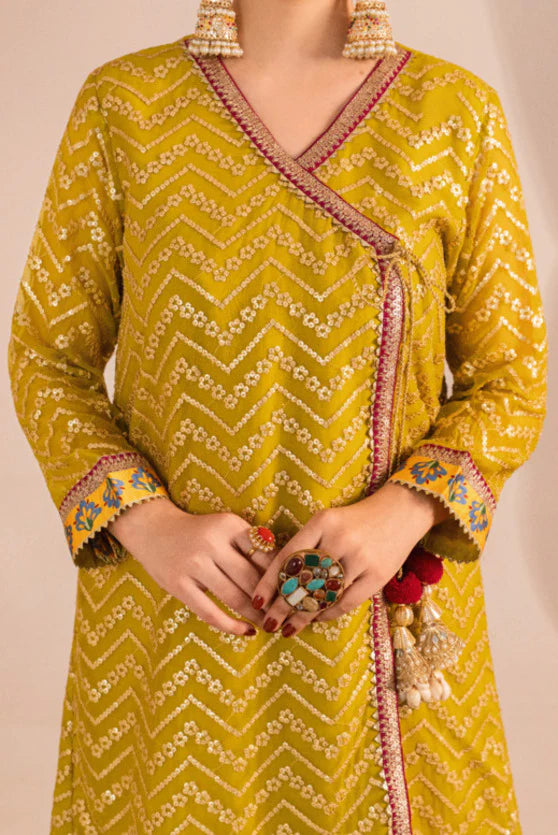 Zaaviay Olive Splash Chikankari Suits Pret 3 Piece