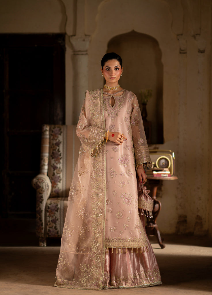 Dastan E Ishq by Ajr Festive Embroidered  Net 3 Piece Suits