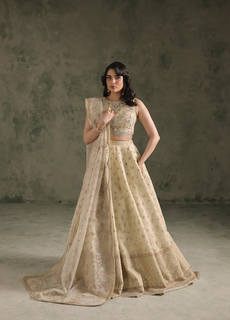 Esmeree by Imran Ramzan Embroidered Unstitched Organza 3 Piece