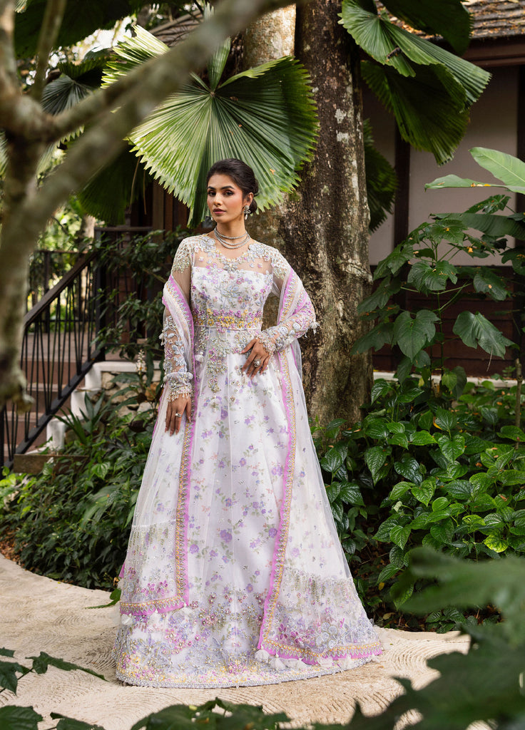 Saira Rizwan  Net Embroidered Suits 3 Piece