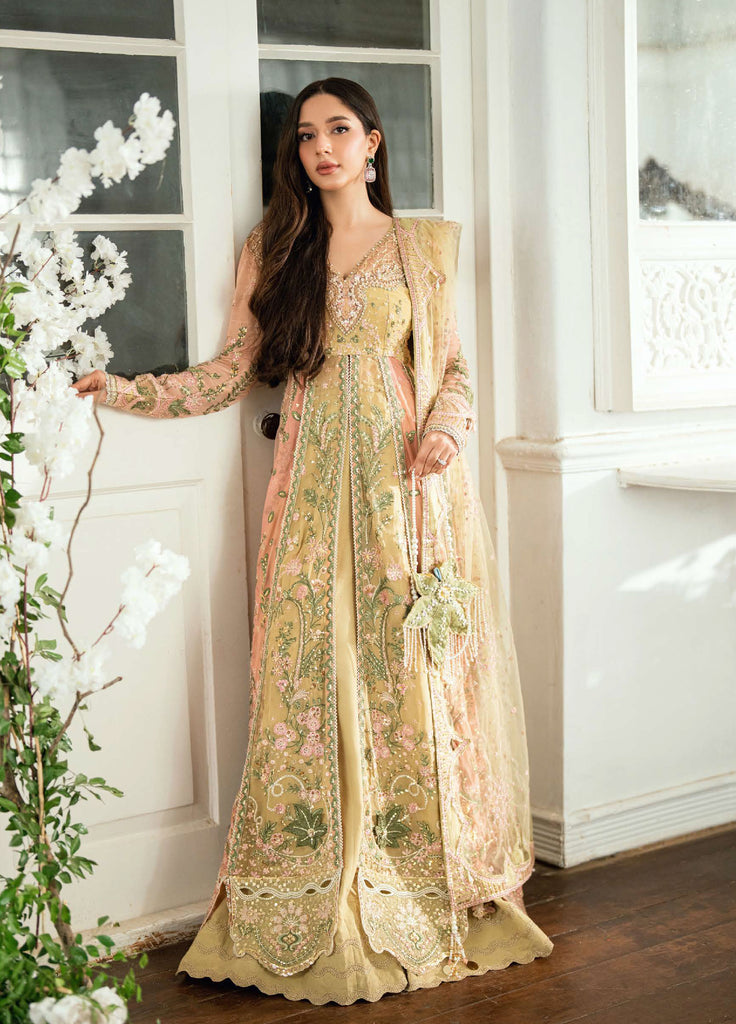 Shaam Shandar By Mushq  Chiffon 3 Piece Suits