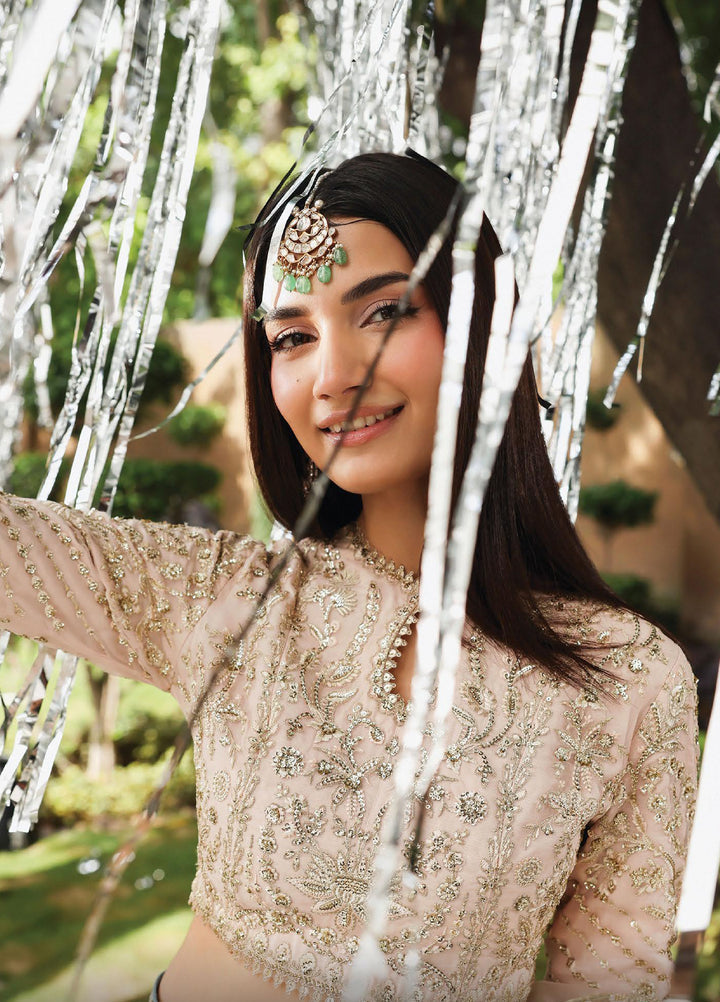 Dastangoi by Afrozeh Stitched Formal Embroidered Organza 3 Piece.