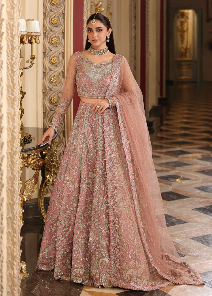 Stardom by Elaf  Embroidered Net 3 Piece Suits