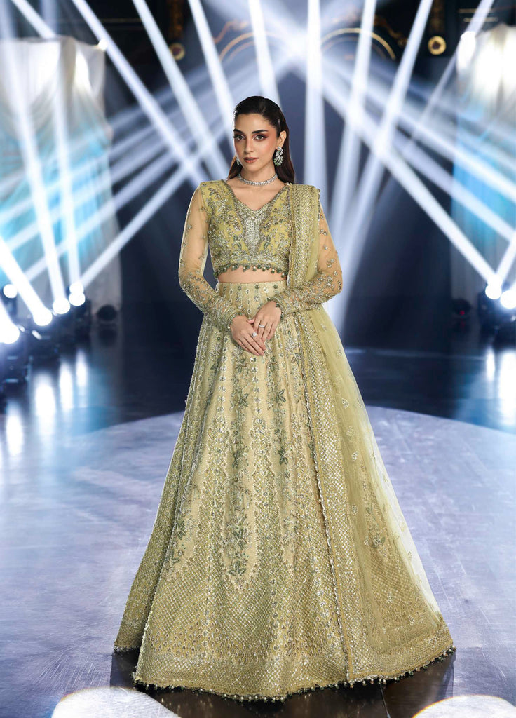 Stardom by Elaf  Embroidered Net 3 Piece Suits