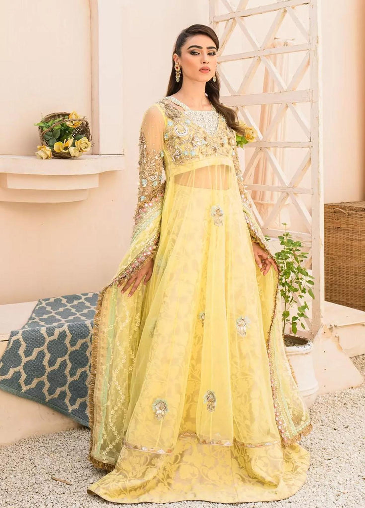 Hues Atelier Pret Embroidered Net 3 Piece Suit HA23LF Hennah