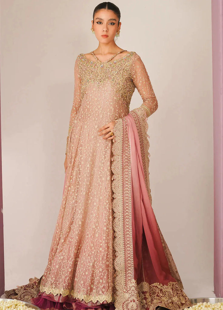 Jamnii Pret  Chiffon 2 Piece Suit Baghe Bahar
